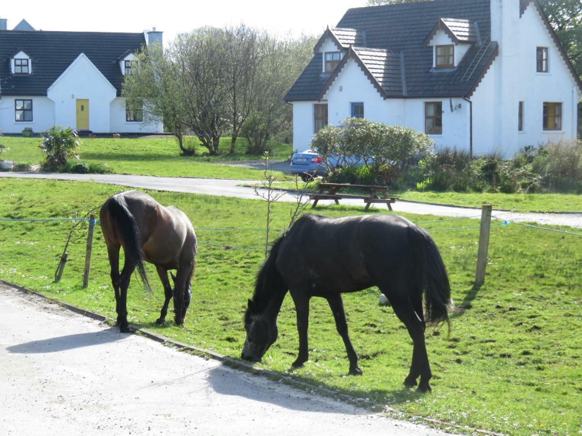 Letterfrack Farm Cottage In Village On A Farm Beside Connemara National Park Exterior photo